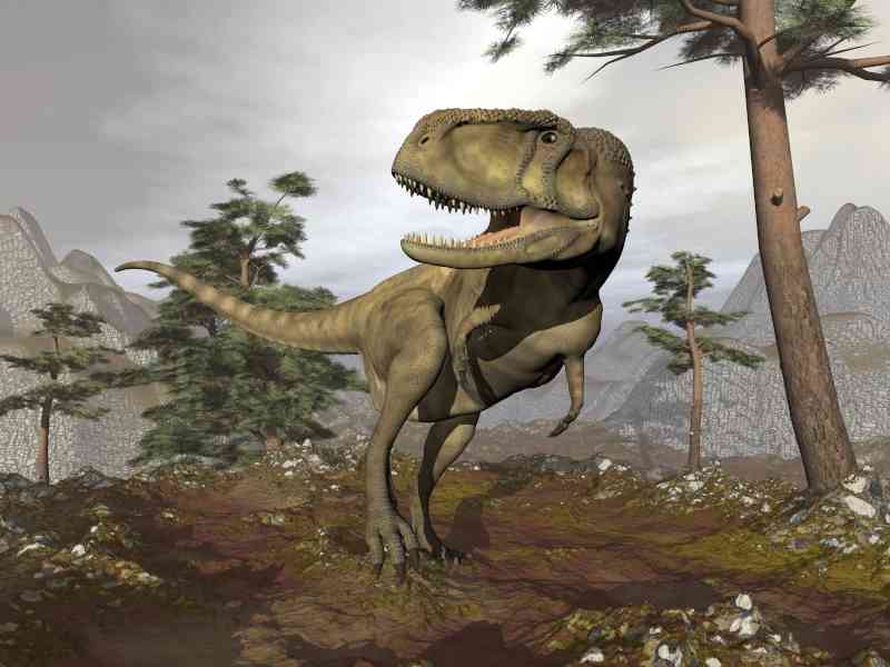 abelisaurus - dinosaurs with detailed facts including diet, lifespan, weight and habitat information