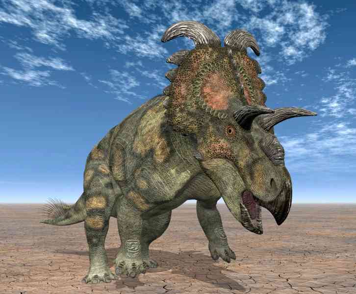 albertaceratops - dinosaurs with detailed facts including diet, lifespan, weight and habitat information