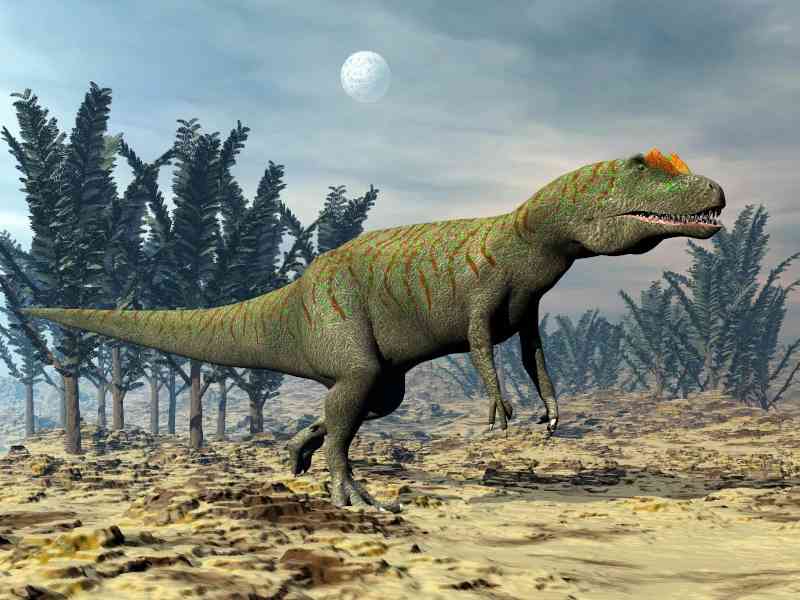 allosaurus - dinosaurs with detailed facts including diet, lifespan, weight and habitat information