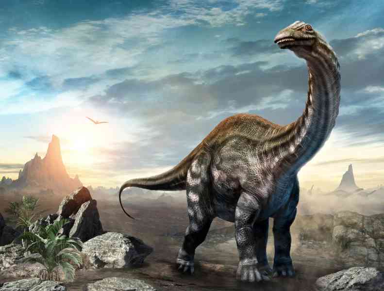 apatosaurus - dinosaurs with detailed facts including diet, lifespan, weight and habitat information