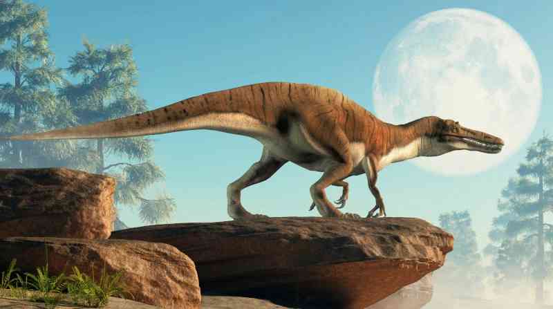 baryonyx - dinosaurs with detailed facts including diet, lifespan, weight and habitat information