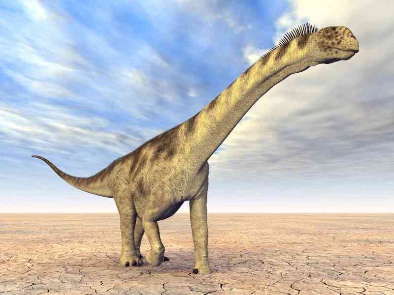 camarasaurus - dinosaurs with detailed facts including diet, lifespan, weight and habitat information