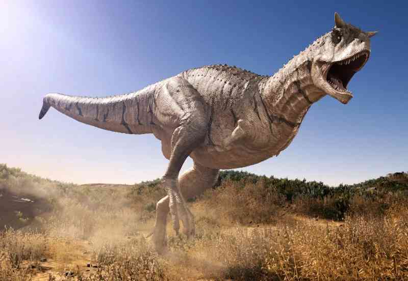 carnotaurus - dinosaurs with detailed facts including diet, lifespan, weight and habitat information
