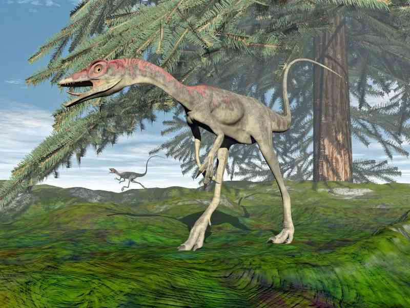compsognathus - dinosaurs with detailed facts including diet, lifespan, weight and habitat information