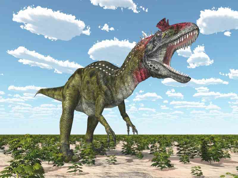 cryolophosaurus - dinosaurs with detailed facts including diet, lifespan, weight and habitat information