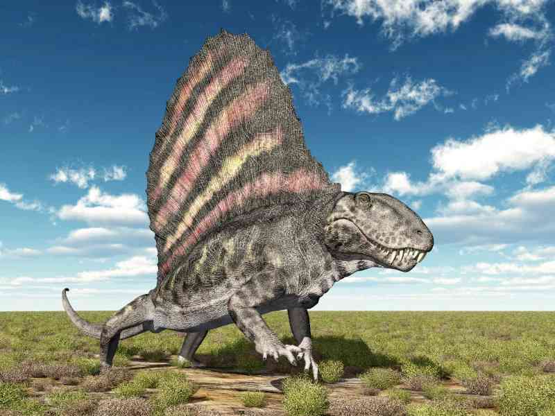 dimetrodon - dinosaurs with detailed facts including diet, lifespan, weight and habitat information