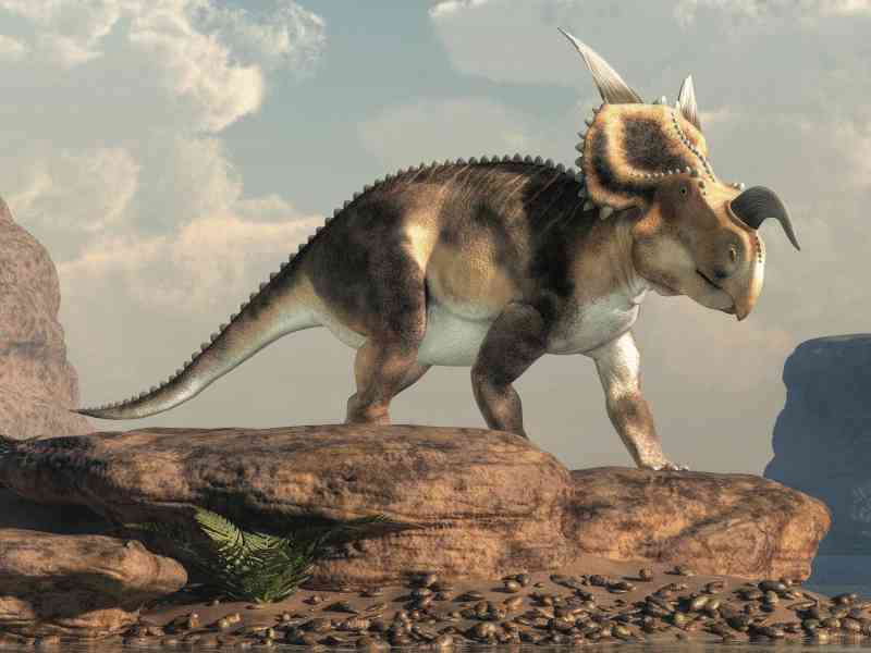 einiosaurus - dinosaurs with detailed facts including diet, lifespan, weight and habitat information