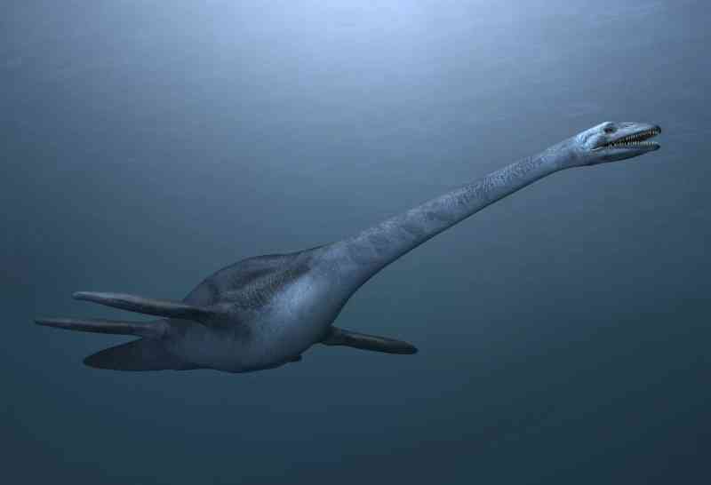 elasmosaurus - dinosaurs with detailed facts including diet, lifespan, weight and habitat information
