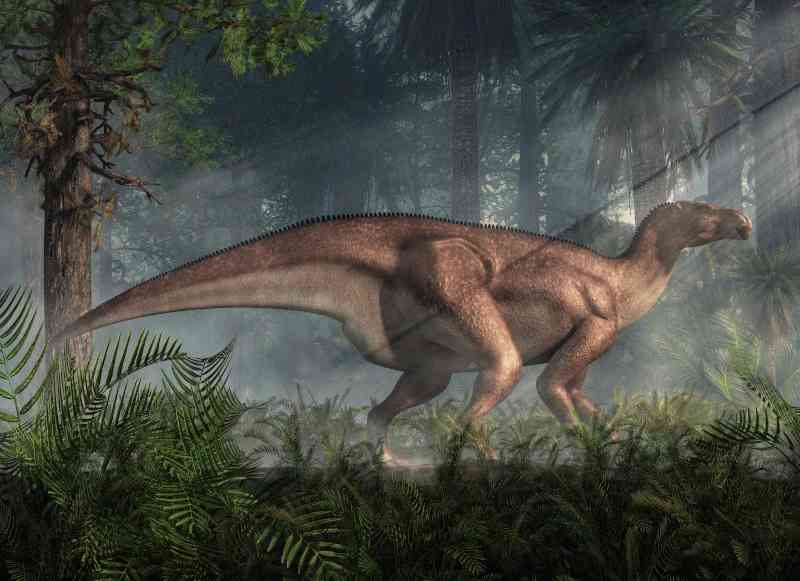 iguanodon - dinosaurs with detailed facts including diet, lifespan, weight and habitat information