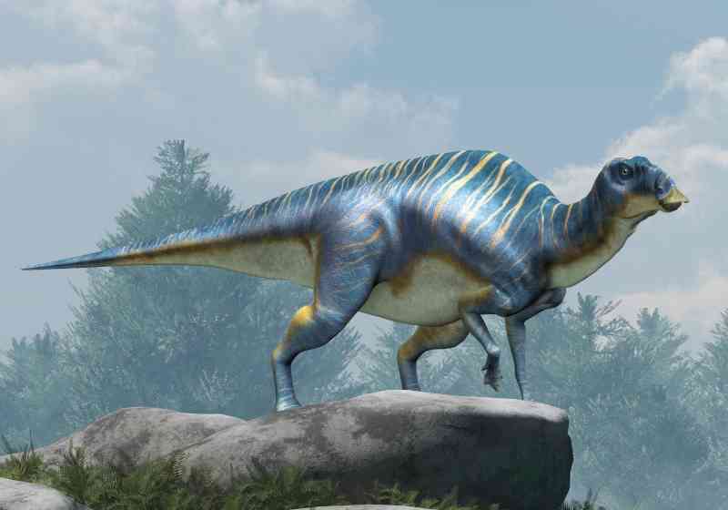 maiasaura - dinosaurs maiasaura - dinosaurs with detailed facts including diet, lifespan, weight and habitat information