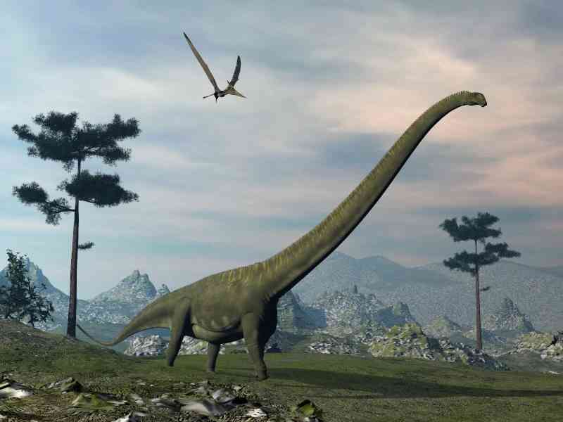 mamenchisaurus - dinosaurs with detailed facts including diet, lifespan, weight and habitat information