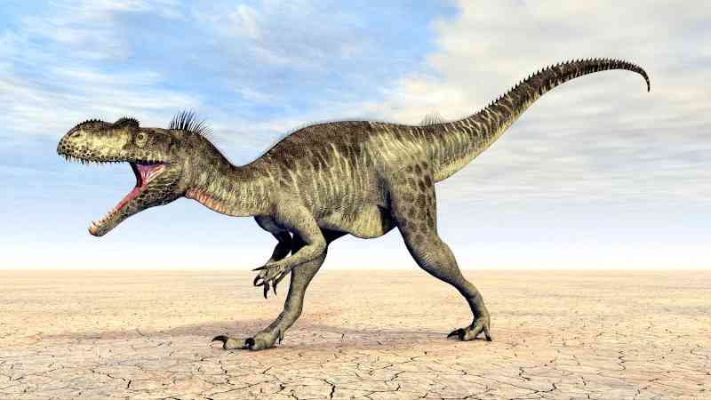megalosaurus - dinosaurs megalosaurus - dinosaurs with detailed facts including diet, lifespan, weight and habitat information