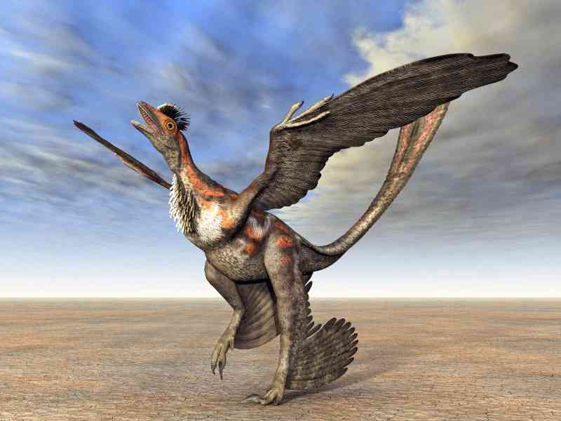 microraptor - dinosaurs with detailed facts including diet, lifespan, weight and habitat information