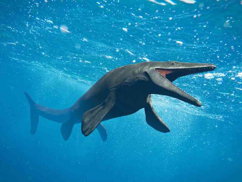 mosasaurus - dinosaurs with detailed facts including diet, lifespan, weight and habitat information