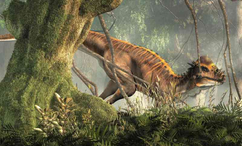 pachycephalosaurus - dinosaurs with detailed facts including diet, lifespan, weight and habitat information