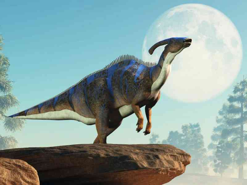parasaurolophus - dinosaurs with detailed facts including diet, lifespan, weight and habitat information