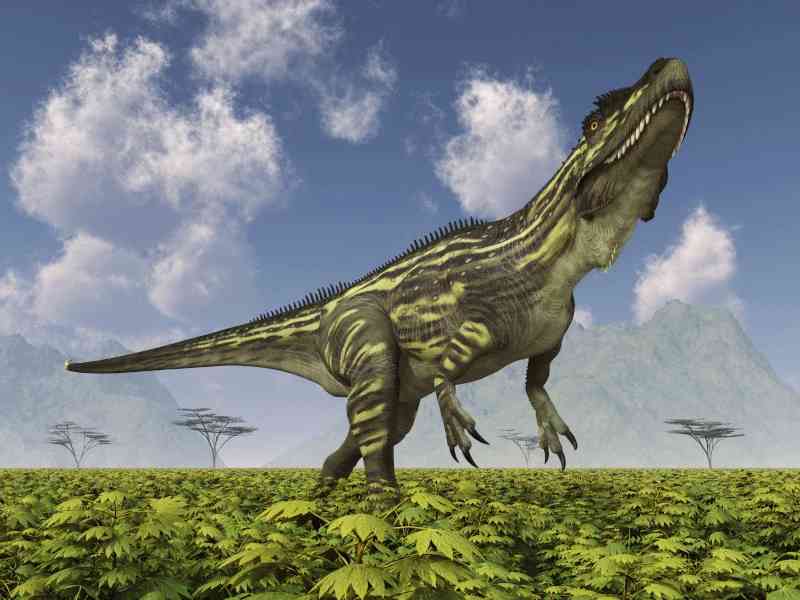 torvosaurus - dinosaurs with detailed facts including diet, lifespan, weight and habitat information